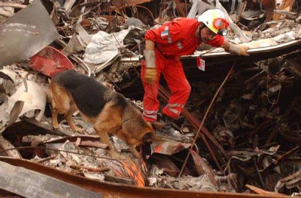 Urban Search and Rescue K9 Urban Search and Rescue K9