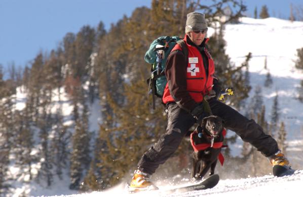 Avalanche K9 Search and Rescue