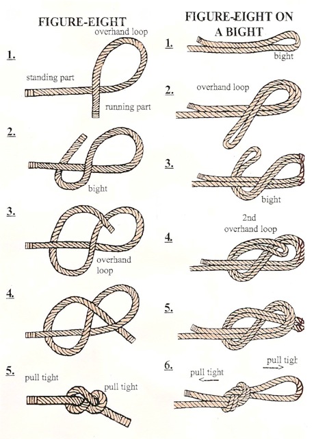 Figure eight knot