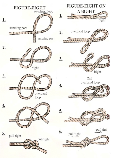 Figure eight knot Figure eight knot