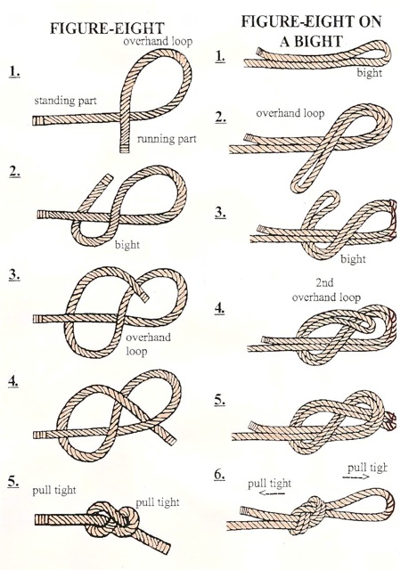 Knots for K9 Search and Rescue