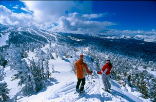 skiier skiier