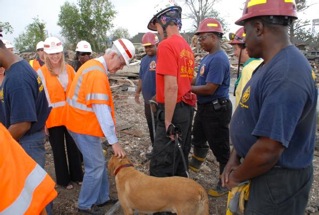 USAR Disaster Search