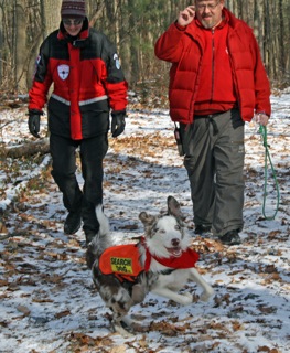 K9 Search and Rescue training