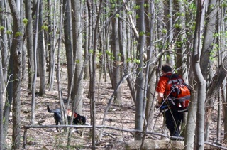 K9 Search and Rescue