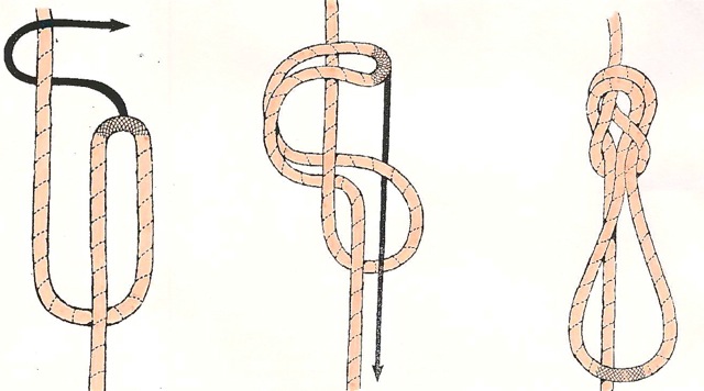 Inline figure eight knot
